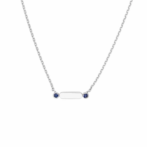 14k White Gold and Two Genuine Sapphire Stones Bar Necklace Adjustable Length Spring Color