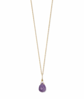 Attractive item 14k Yellow Gold Birthstone Necklace with Amethyst - February