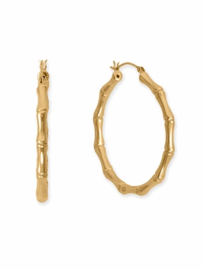 Exquisite Vibe Bamboo Hoop Earrings 44mm Yellow Gold-plated Sterling Silver