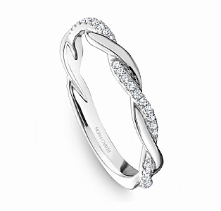 Noam Carver Half Anniversary Diamond Wedding Ring in 14K White Gold (0.20ctw) Bold Statement